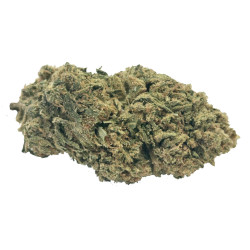 Flores de Bubblegum CBD