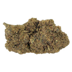 Blue Dream 10% THCPO