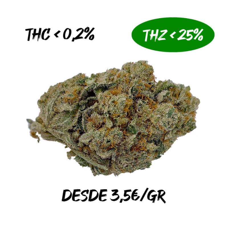 Amnesia Haze 25% THZ Indoor