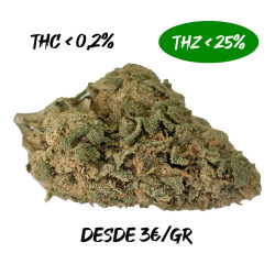Super Lemon 25% THZ Indoor
