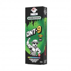 Vaper DNT9 2ml Sheesh Watermelon Gelato