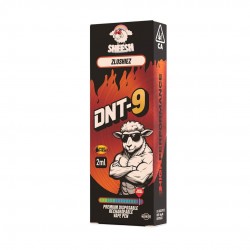 Vaper DNT9 2ml Sheesh Zlushiez