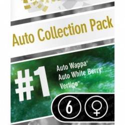 Auto Collection pack nº1