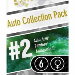 Auto Collection pack nº2