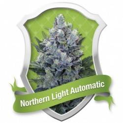 Northern Light Automatic