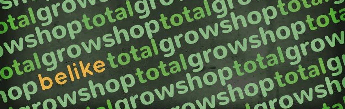 Caudalimetro de Agua - Totalgrowshop